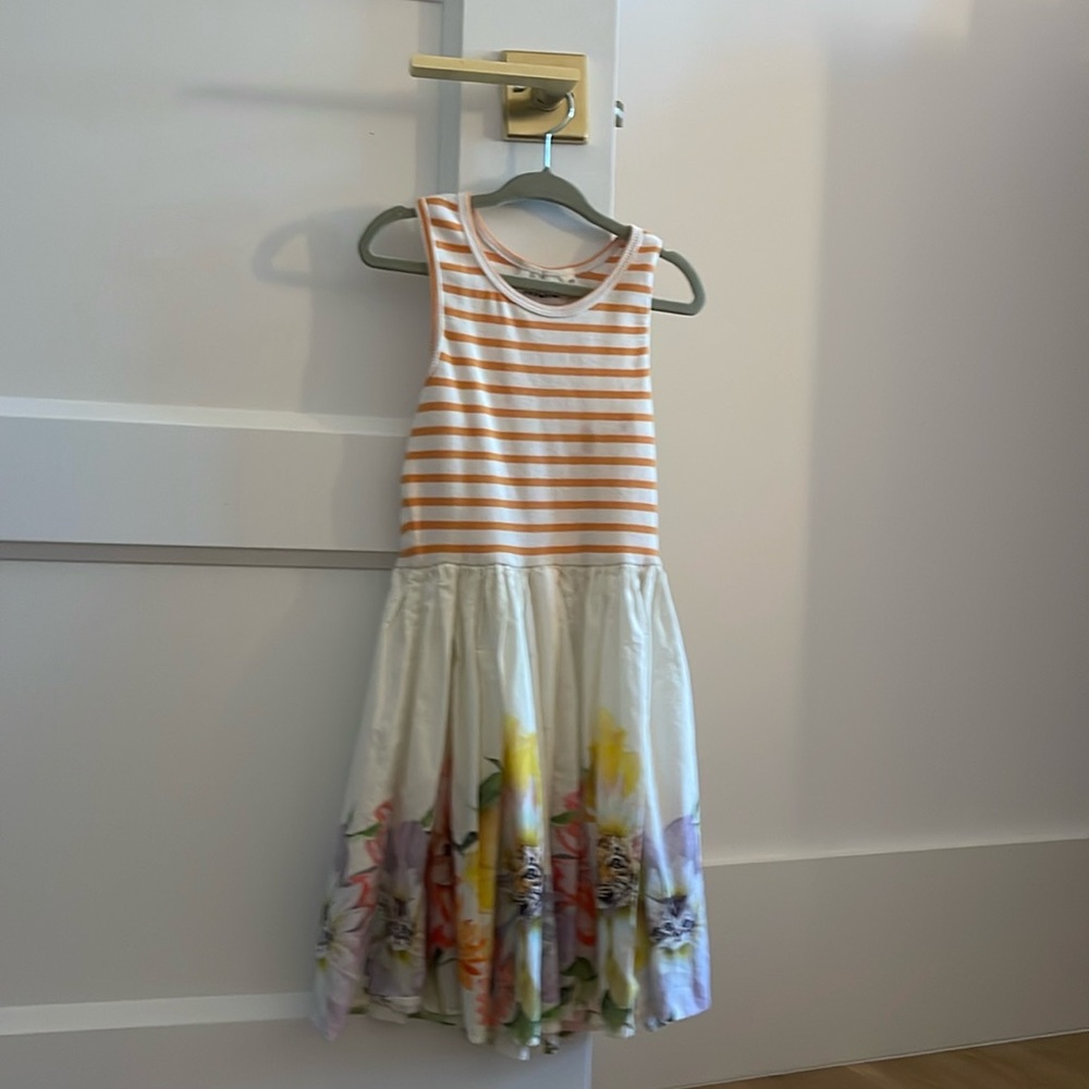 Milo Tiger Cat and Flower Sleeveless Dress